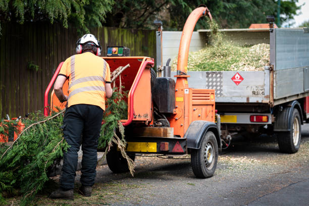 Best Commercial Tree Services  in Houma, LA